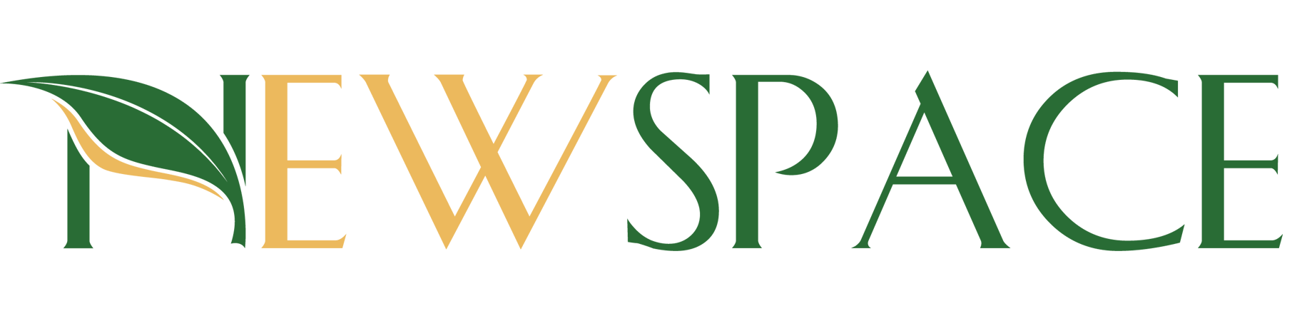 logo-newspace